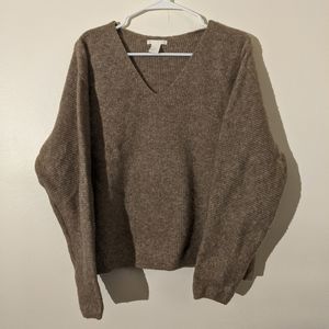 HM Neutral V Neck Sweater